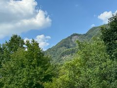 -石台牯牛降景区