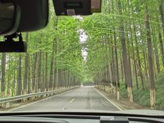 -南汇嘴观海公园