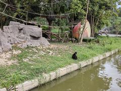 -深圳野生动物园