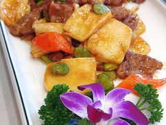 -古南都·清真绿柳居菜馆(太平南路店)