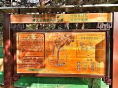 -帽儿山国家森林公园