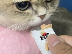 -美联众合动物医院·24h转诊中心