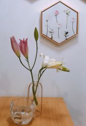点击看大图 -T·C BEAUTY皮肤管理美容美体工作室