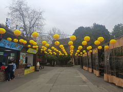-成都欢乐谷