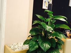 -织荆鸟咖啡(首开福茂店)