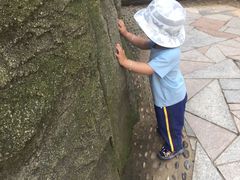 -莱西月湖公园