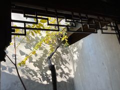 -新万鑫银丝面·非遗无锡味(惠山古镇店)