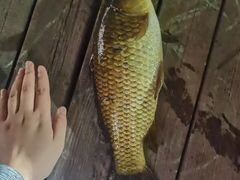 -酷鱼垂钓CLUB(朝阳区博大路店 )