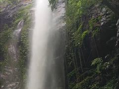 -莫里热带雨林景区