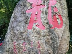 -分塔山省级森林公园