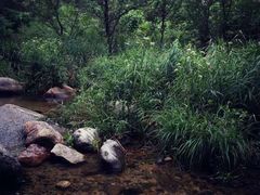 -碓臼峪自然风景区