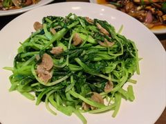 -向川南·水煮鱼·川菜(和平里店)
