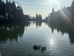 -玉苍山国家森林公园