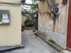 -稀物集咖啡(徽州大道店)