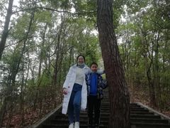 -神光山国家森林公园