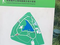 -陆家嘴中心绿地
