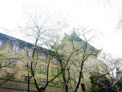 -武汉大学-樱园