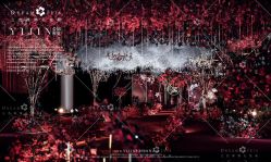 -三色锦婚礼定制