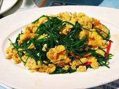 -新疆兵团食府清真(马连道店)