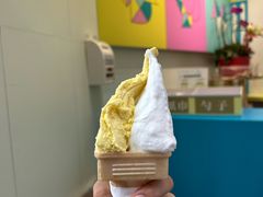 -柠檬车露(卖草地店)