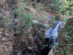 -梧桐山风景名胜区