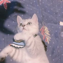 -哈妮儿童摄影(德清店)