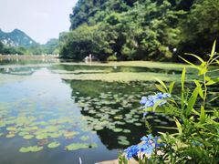 -柳喜辣•烧烤酒局(跃进总店)