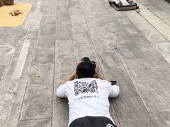 -超宠爱宠物摄影-Super pet