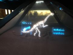 -世界恐龙谷景区