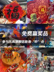 -乐高品牌旗舰店(人民广场店)