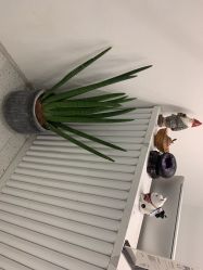 -苗方清颜·祛痘皮肤管理