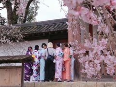 -醍醐寺