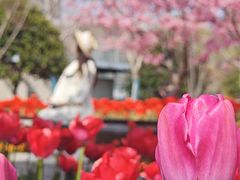 -丹东路渡口(轮渡站)