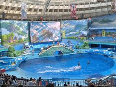 -海合安成都极地海洋公园