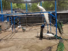 -森林公园(尖草坪区)