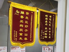 -中农国际动物医院24小时·猫科·骨科·急重症中心