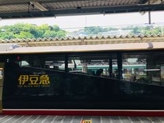 -伊豆观海列车