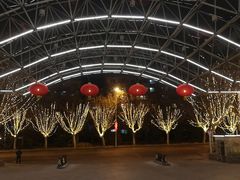 -奥利加尔大酒店-中餐厅