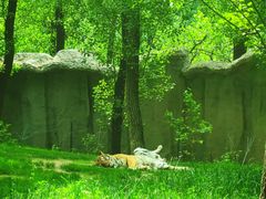 -北京野生动物园