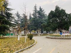 -山东大学(洪家楼校区)