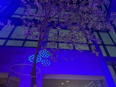 -君悦酒店·大堂酒吧·高空下午茶·暮色微醺