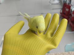 -怪兽屋·羊驼·猫咖·狗咖(俊华广场店)