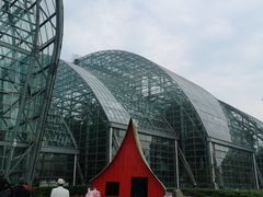-南山植物园
