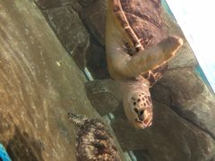 -福州罗源湾海洋世界旅游区