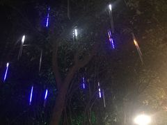 -宝莱纳啤酒花园餐厅PAULANER BRAUHAUS Nanjing(广州路店)