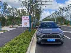 -南汇新场正宗水蜜桃采摘