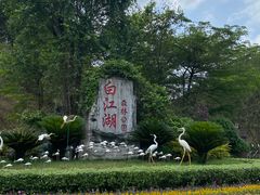 -广州白江湖森林公园