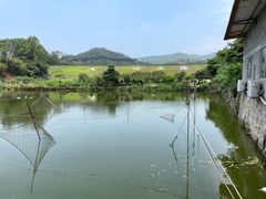 -大王岭农庄
