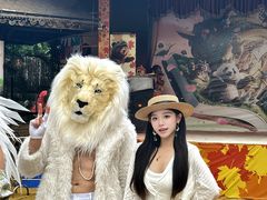 -灵玲国际马戏城