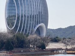 -向外鱼乐·土菜·虹鳟鱼